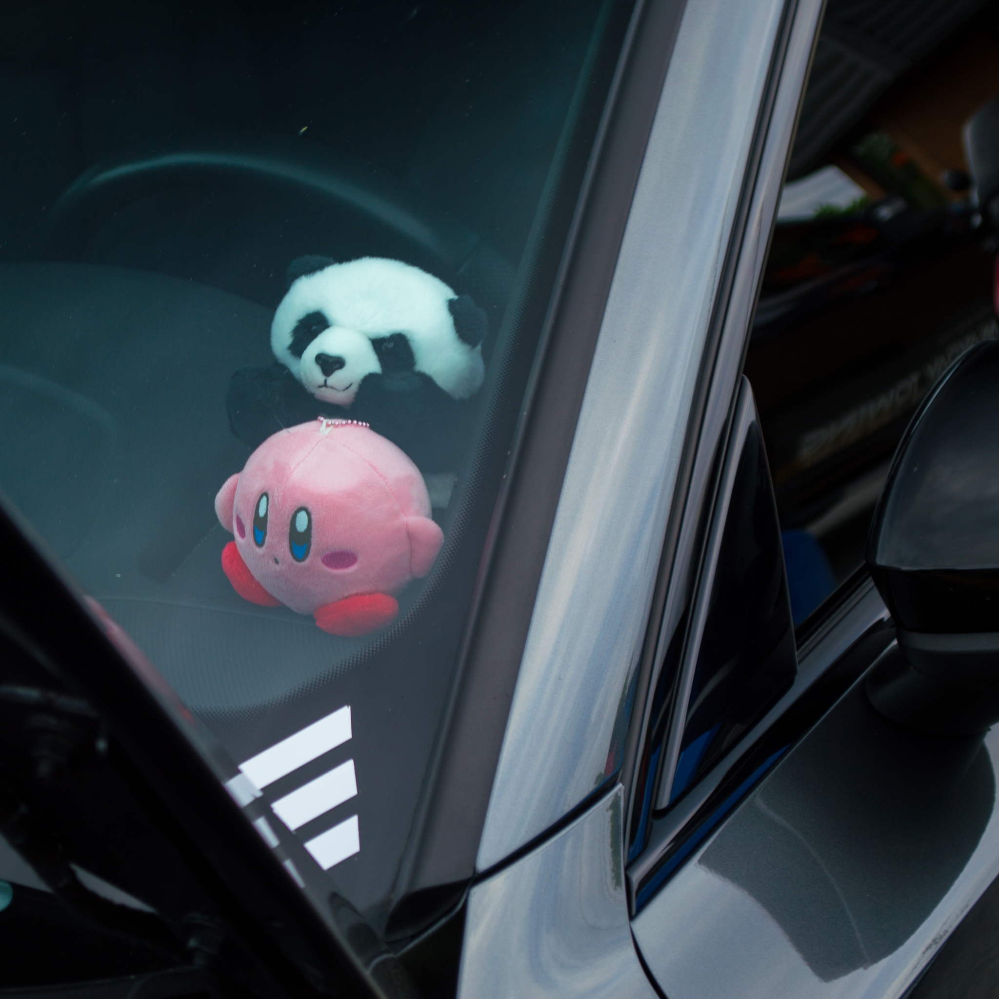 Friends for the ride