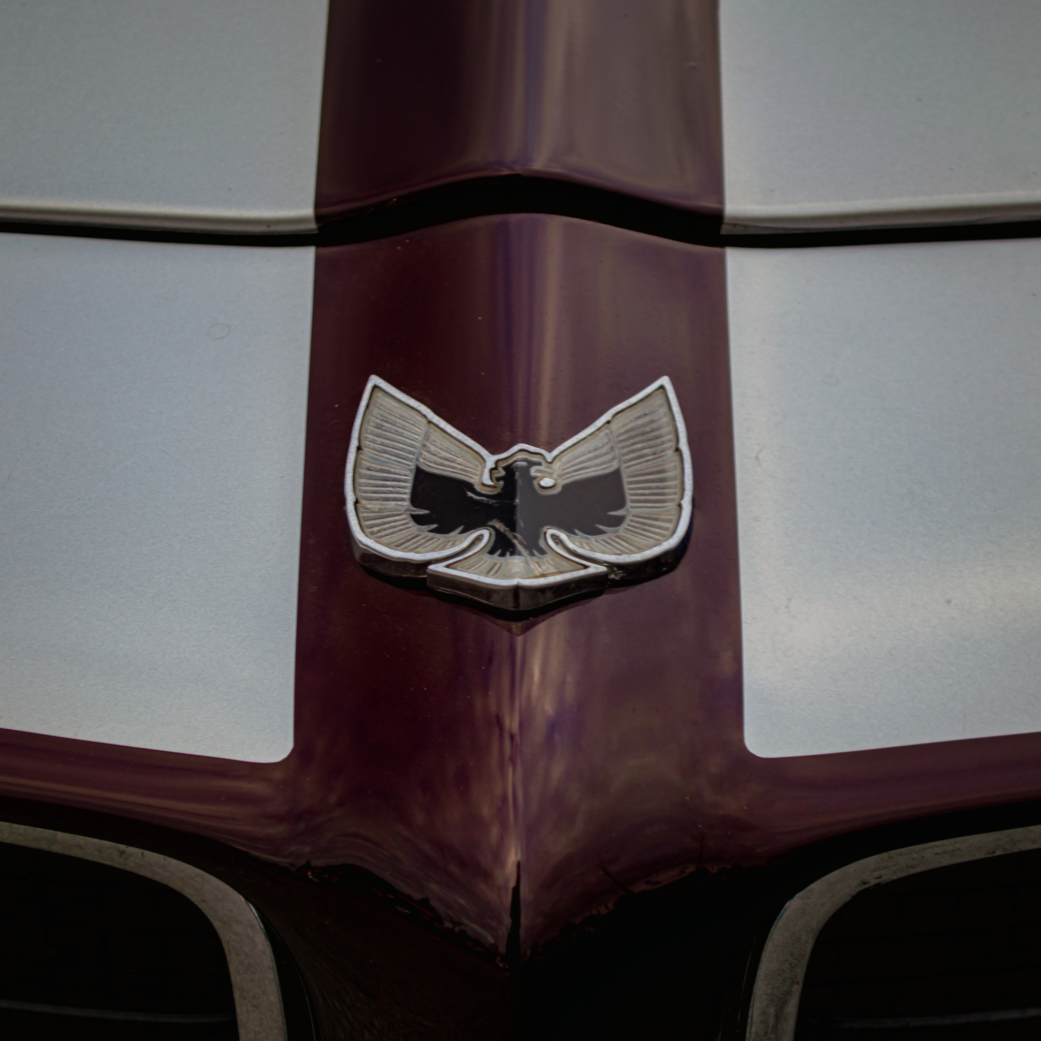 The Firebird History
