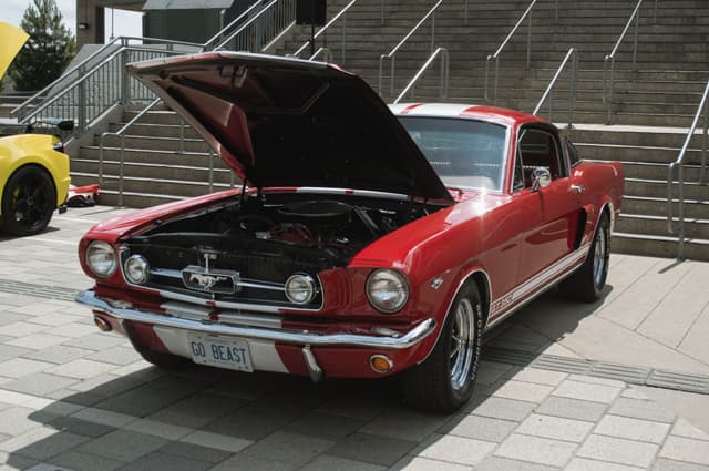 Shelby Classic